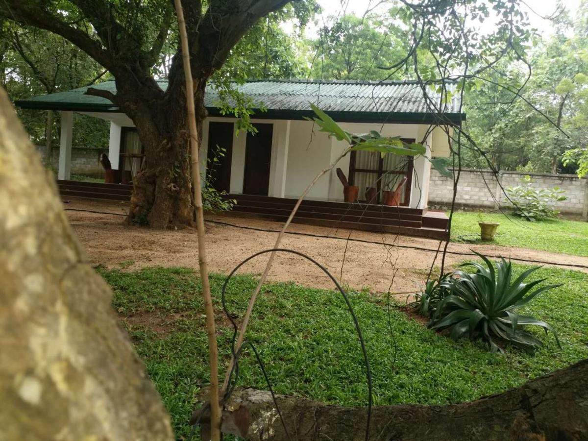 Eighth Wonder Resort Sigirîya Extérieur photo