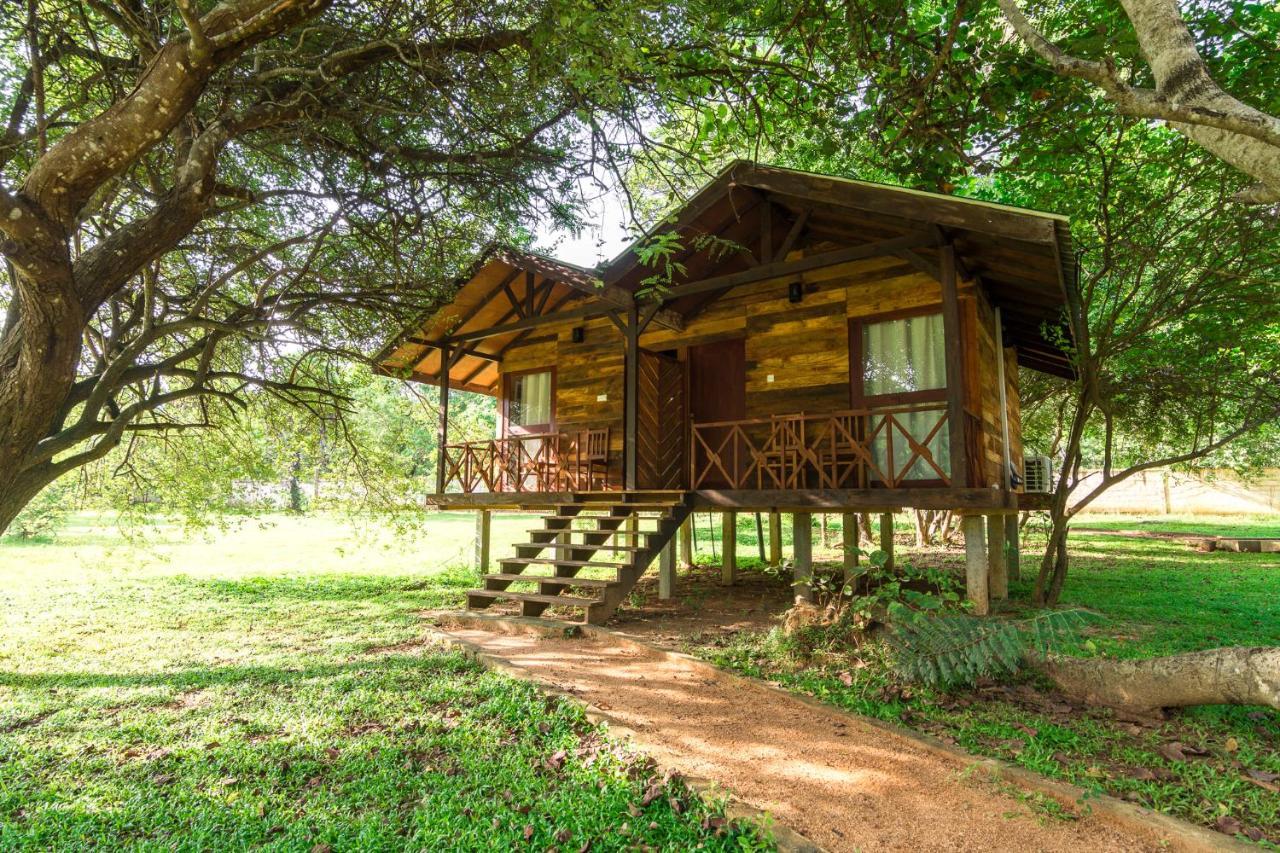 Eighth Wonder Resort Sigirîya Extérieur photo