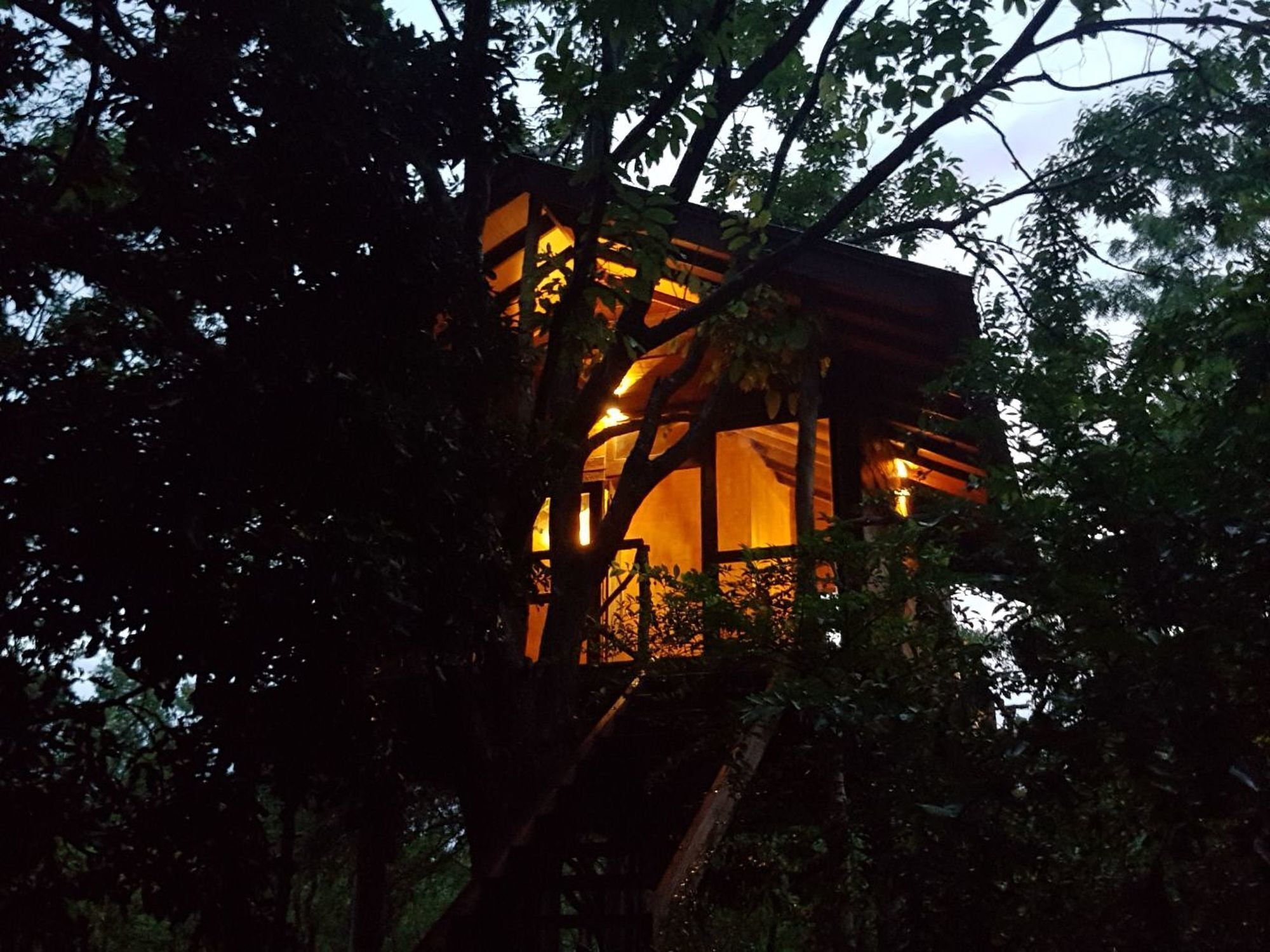 Eighth Wonder Resort Sigirîya Extérieur photo