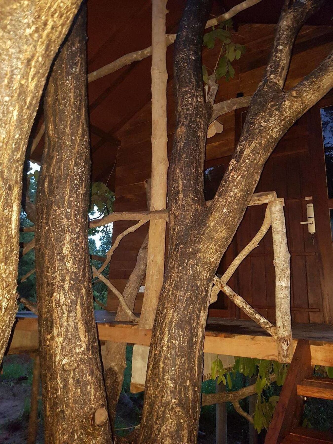 Eighth Wonder Resort Sigirîya Extérieur photo